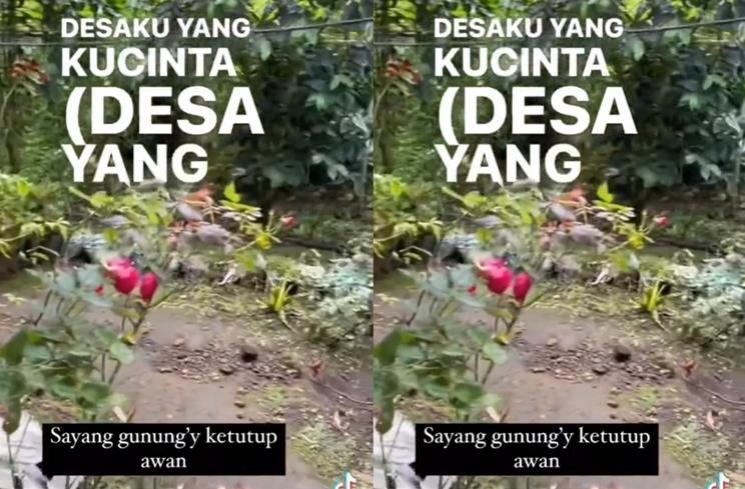 Potret Rumah Sus Rini di Kampung Halaman (tiktok/@rayanza626)