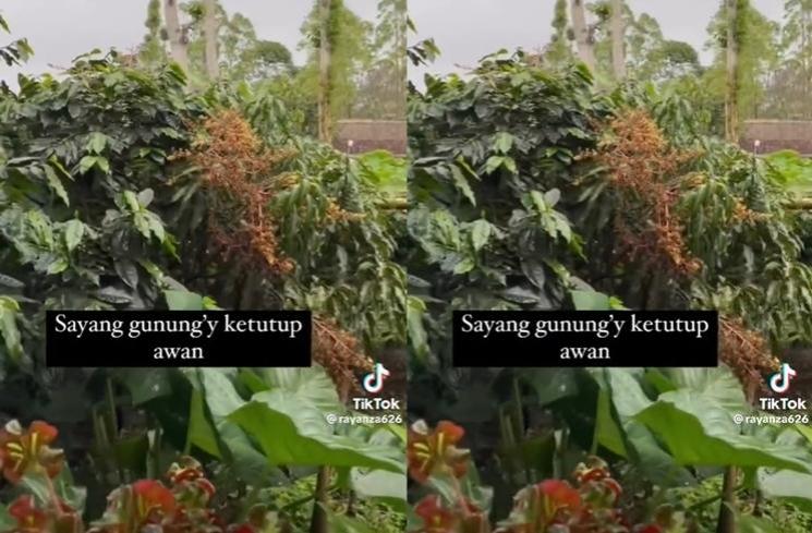 Potret Rumah Sus Rini di Kampung Halaman (tiktok/@rayanza626)
