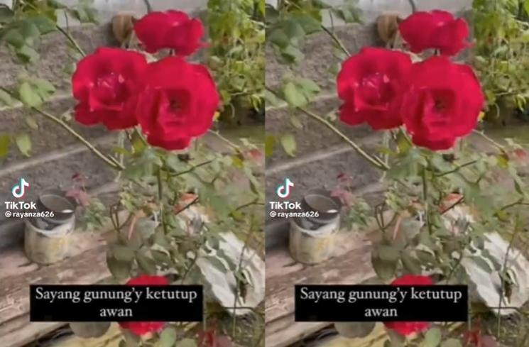 Potret Rumah Sus Rini di Kampung Halaman (tiktok/@rayanza626)