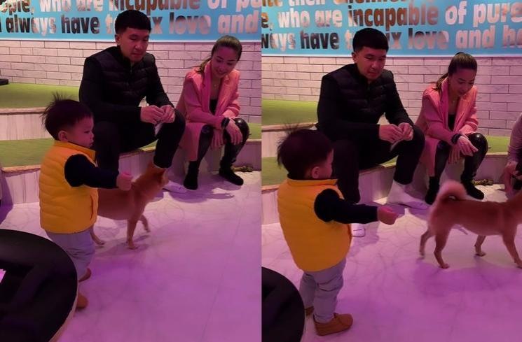Potret Baby Izz Dikelilingi Banyak Anjing (Instagram/nikitawillyofficial94)