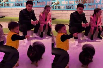 5 Potret Baby Izz Dikelilingi Banyak Anjing saat Liburan ke Jepang, Gemes!