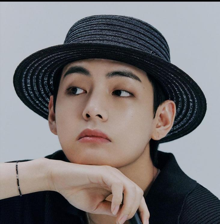 Profil V BTS(Instagram/@bts.bighitofficial) 