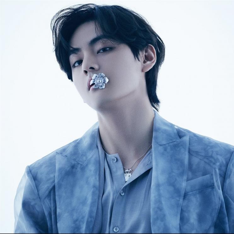 Profil V BTS(Instagram/@bts.bighitofficial) 