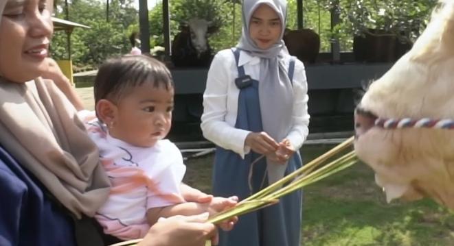 Potret Ria Ricis Siapkan Sapi Kurban (YouTube/Ricis Official)