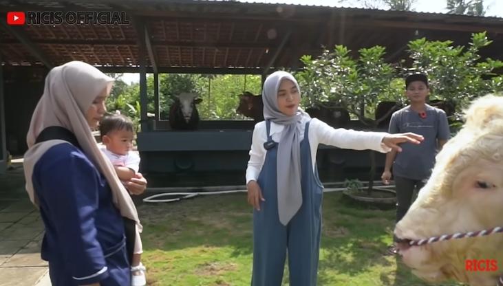 Potret Ria Ricis Siapkan Sapi Kurban (YouTube/Ricis Official)