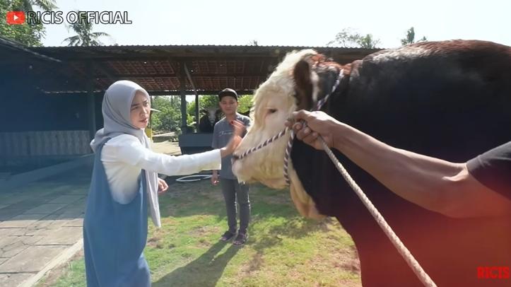 Potret Ria Ricis Siapkan Sapi Kurban (YouTube/Ricis Official)