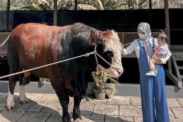 Potret Ria Ricis Siapkan Sapi Kurban (Instagram/riaricis1795)