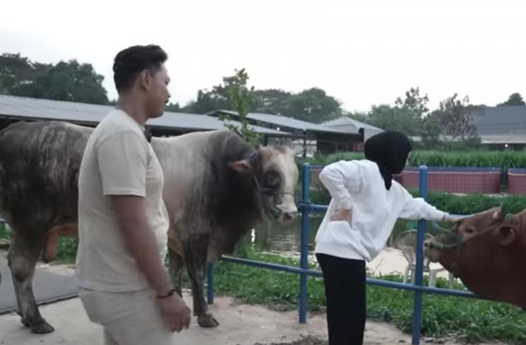 Potret Nathalie Holscher Berburu Sapi Kurban. (YouTube/NATHALIE HOLSCHER) 