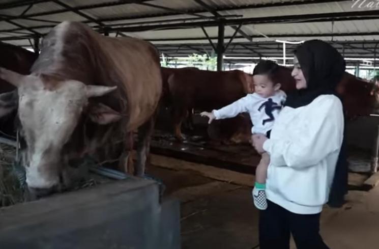 Potret Nathalie Holscher Berburu Sapi Kurban. (YouTube/NATHALIE HOLSCHER) 