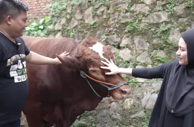 Potret Nathalie Holscher Berburu Sapi Kurban. (YouTube/NATHALIE HOLSCHER) 
