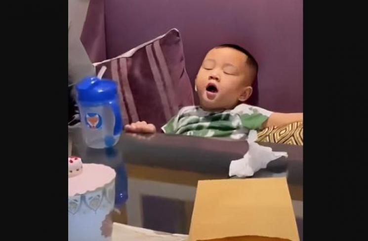 Momen Rayyanza Ngobrol Pakai Bahasa Sunda dengan Nicky Astria. (TikTok/rieta_amilia)