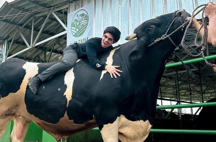 Artis Pilih Sapi Jumbo untuk Kurban Idul Adha (Instagram/@attahalilintar)