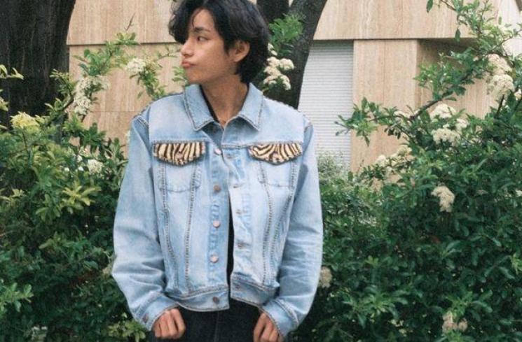 V BTS (Instagram/thv)