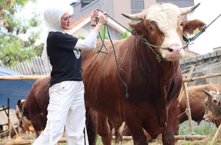 Potret Delia Septianti Jadi Juragan Sapi (Instagram/deliaseptianti)