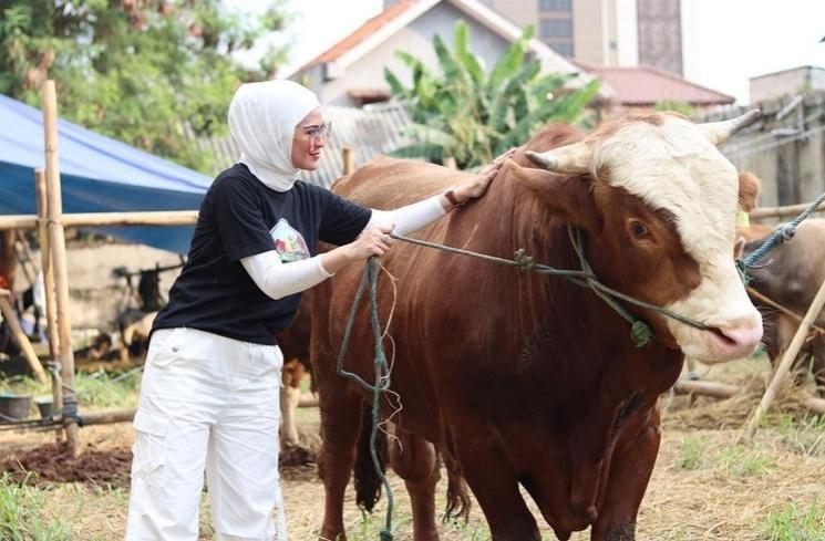 Potret Delia Septianti Jadi Juragan Sapi (Instagram/deliaseptianti)
