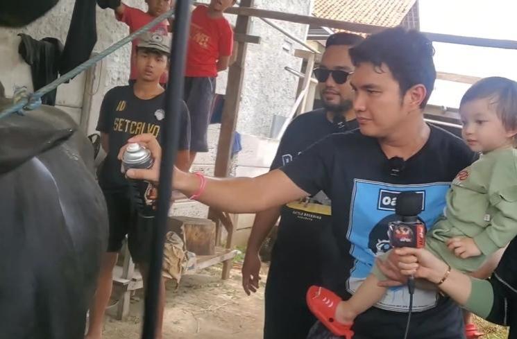 Momen Aldi Taher Beli Sapi Kurban (instagram/@alditaher.official
