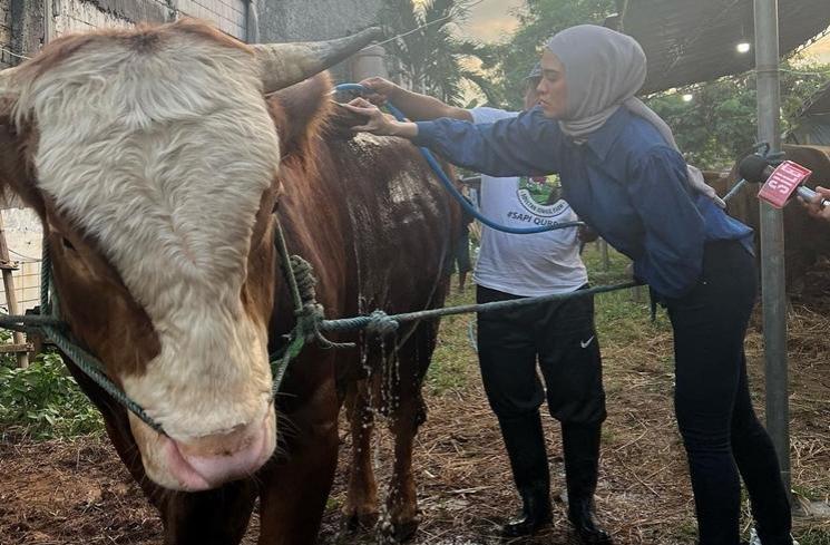 Potret Delia Septianti Jadi Juragan Sapi (Instagram/deliaseptianti)