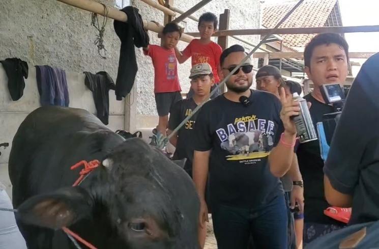 Momen Aldi Taher Beli Sapi Kurban (instagram/@alditaher.official