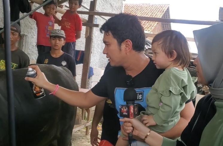 Momen Aldi Taher Beli Sapi Kurban (instagram/@alditaher.official