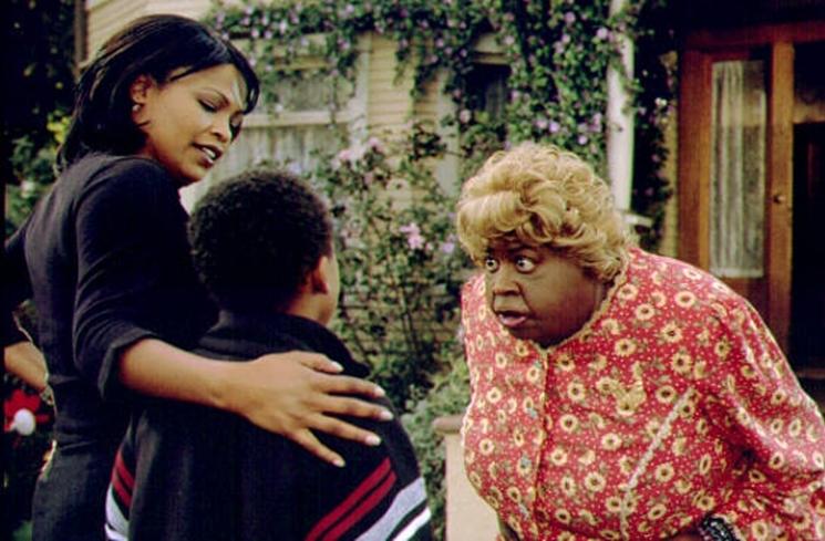 Sinopsis Big Momma's House (IMDb)