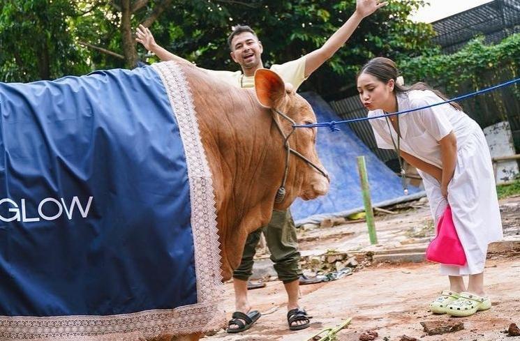 Potret artis bareng hewan kurban (Instagram/raffinagita1717)