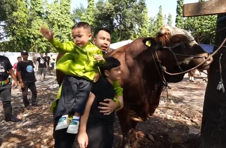 Momen Raffi Ahmad Potong Sapi Kurban (YouTube Rans Entertainment)