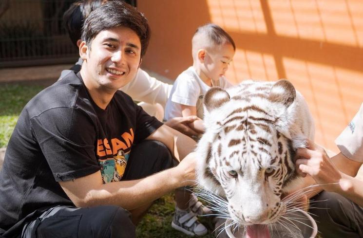 Potret Rayyanza Main Sama Harimau Alshad Ahmad. (Instagram/@raffinagita1717) 