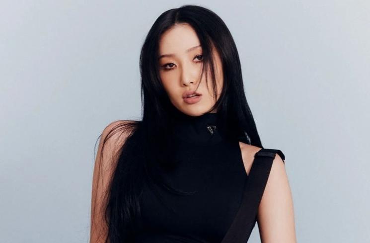 Profil Hwasa MAMAMOO (instagram/@_mariahwasa)