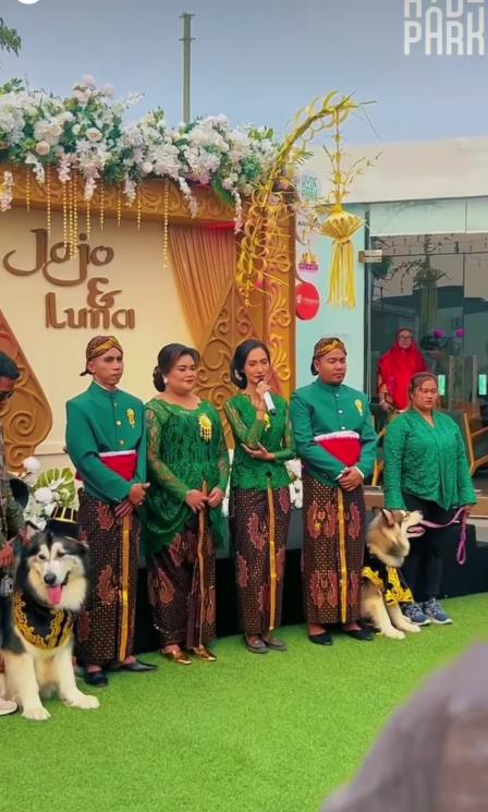 Potret Nikahan Anjing Jojo dan Luna(Instagram/@jocko.jackie.joyful.jojo) 