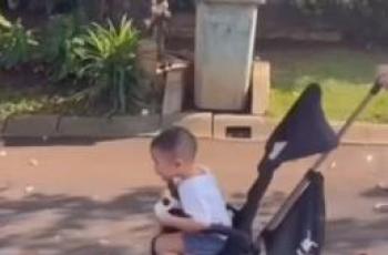 Rayyanza Terpontang-panting di Stroller Demi Konten, Sus Rini Dikecam: Makin Dielu-elukan Makin Lebay