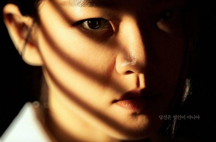 Sinopsis Crime Puzzle (Hancinema)