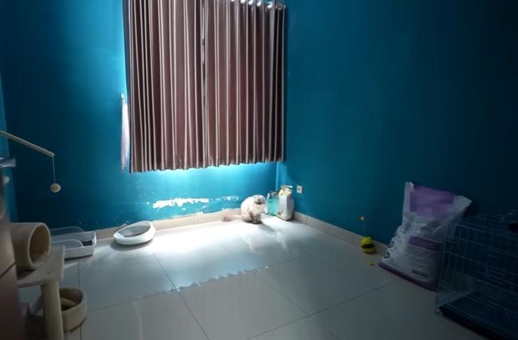 Rumah baru Dicky Difie (YouTube/Taulany TV)