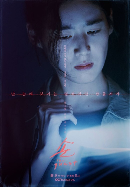 Sinopsis The Guest (Hancinema)