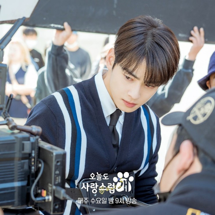 Potret di Balik Layar A Good Day to Be a Dog (Instagram/@mbcdrama_now)
