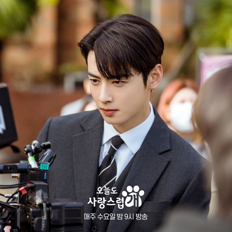 Potret di Balik Layar A Good Day to Be a Dog (Instagram/@mbcdrama_now)