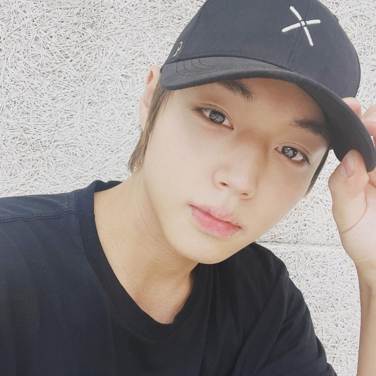 Fakta Fantastic Sonata (Instagram/@0529.jihoon.ig)