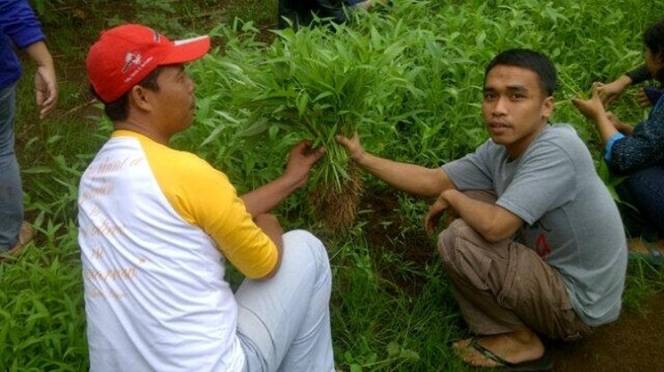 Perjalanan Karier Aulia Rakhman (Twitter/@BDLberkebun)