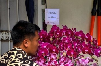 Kejutan Jokowi untuk Megawati Soekarnoputri di Ulang Tahun ke-77, Sinyal Hubungan Membaik Jelang Pencoblosan?