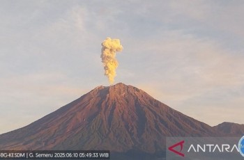 Gunung Semeru Erupsi, Kolom Letusan Capai 1.000 Meter