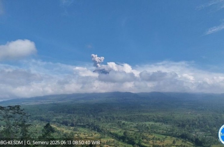 Gunung Semeru erupsi dengan letusan setinggi 700 meter di atas puncak pada Jumat (13/6/2025) pagi. ANTARA/HO-PVMBG
