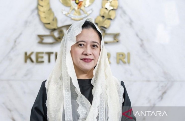 Ketua DPR RI Puan Maharani. (ANTARA/ist)
