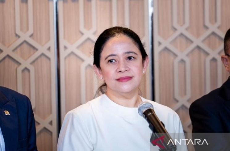 Ketua DPR RI Puan Maharani. (ANTARA/ist)
