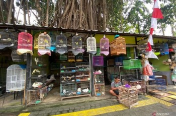 Pedagang Pasar Barito Tolak Relokasi: Kios Baru, Belum Tiga Tahun Sudah Mau Dibongkar