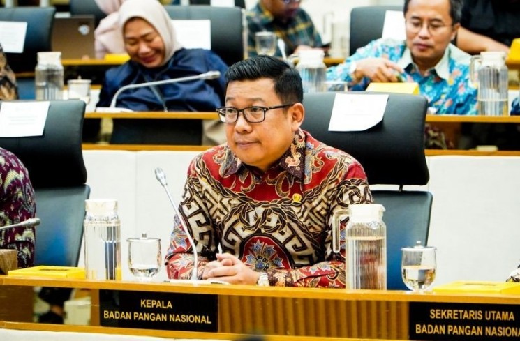 Kepala Badan Pangan Nasional (Bapanas) Arief Prasetyo Adi. ANTARA/HO-Humas Bapanas

