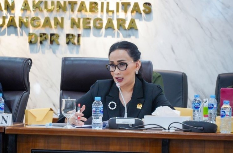 Anggota Komisi I DPR RI Amelia Anggraini di kompleks parlemen, Jakarta. (ANTARA/HO-DPR)
