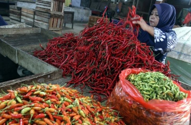 Pedagang menata cabai merah di lapak grosir Pasar Induk Gadang, Malang, Jawa Timur, Selasa (3/6/2025). ANTARA Jatim/Ari Bowo Sucipto/mas.
