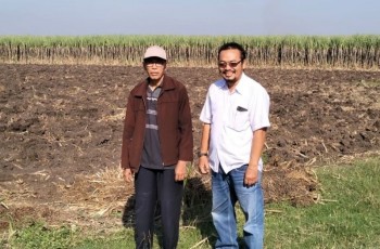 Petani Tebu Jatim Tagih Janji Swasembada, Desak Pemerintah Tertibkan Tata Niaga Gula