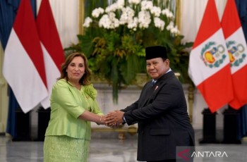 Presiden Peru Apresiasi Prabowo, Ekspor Blueberry dan Delima ke Indonesia Siap Dipercepat