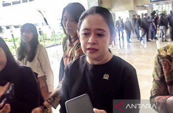 Puan Dorong Pemerintah Edukasi Publik Soal Pembelian LPG 3 Kg Pakai NIK