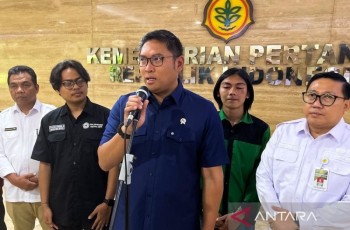 Wamentan: Impor Beras Hanya untuk Restoran Khusus, Bukan Konsumsi Rumah Tangga